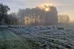 619276261_869758935835936_722483551426237883_n