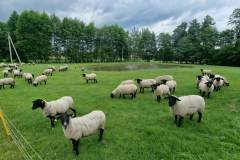 620496155_683532361417292_5671009028422945725_n