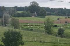 620641986_892735277055675_8371485657759392044_n