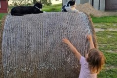 621155716_1901295967164679_1306324091950176771_n