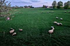 621837239_2099137270876896_4850273694886178414_n