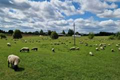 623160774_2071222283716549_155502285649463914_n